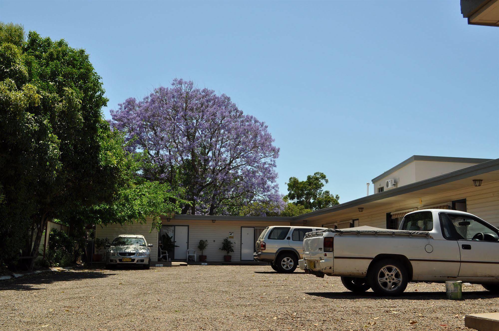 Red Cedar Motel Muswellbrook Esterno foto